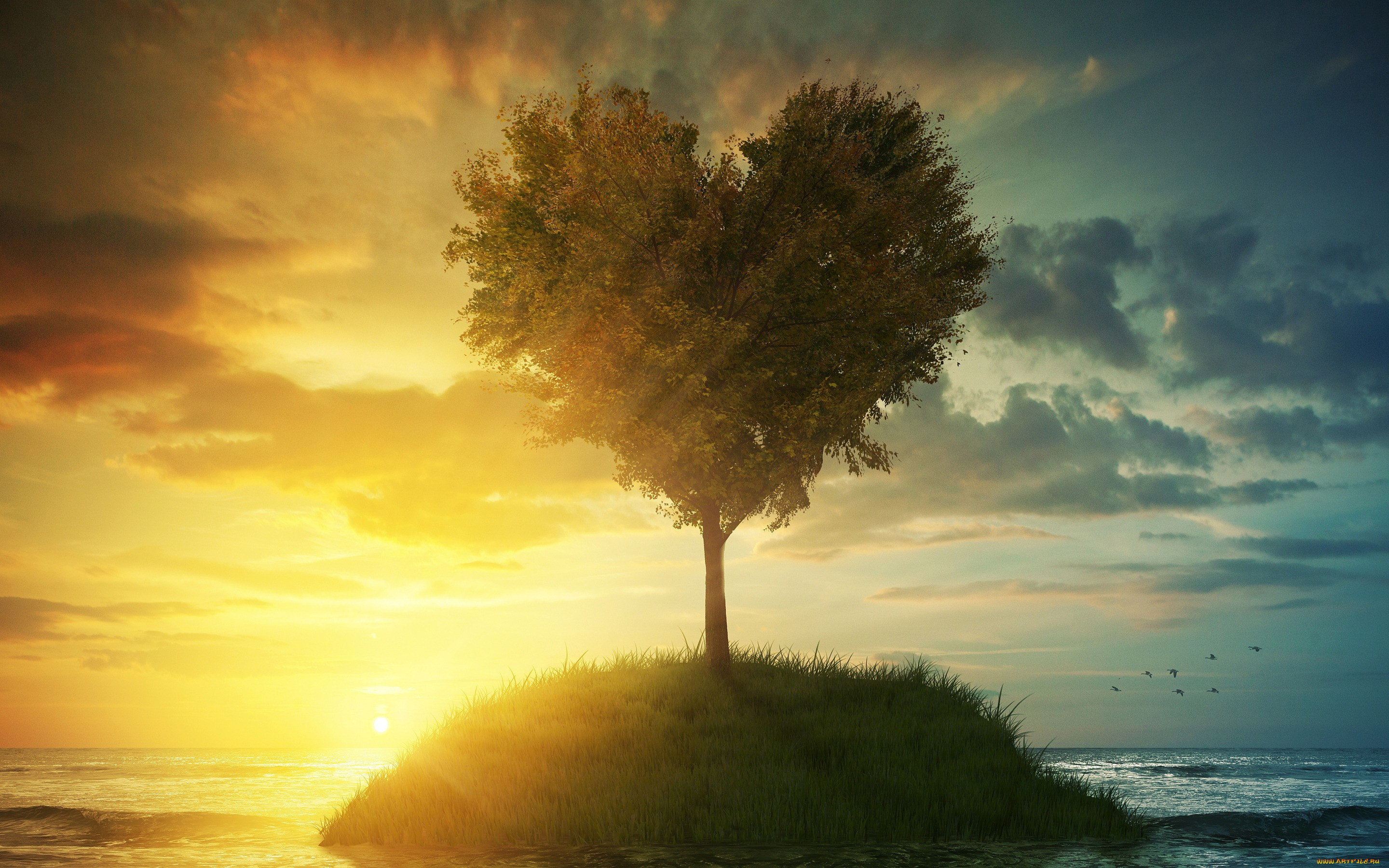 ,  , , , , , , love, landscape, heart, beautiful, tree, romantic